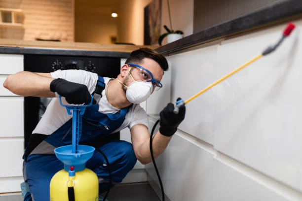 Best Pest Control Near Me  in Las Animas, CO
