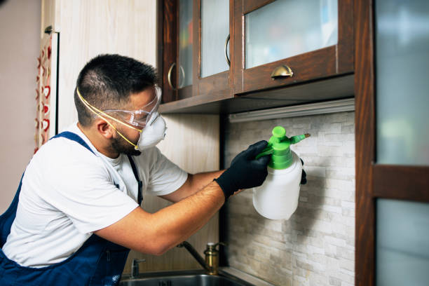 Best Termite Control Services  in Las Animas, CO
