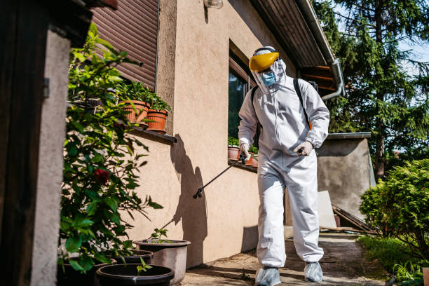 Best Wasp Removal Services  in Las Animas, CO