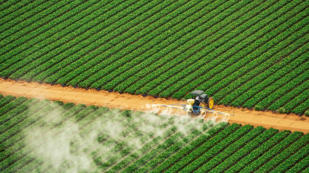 Best Ant Control Services  in Las Animas, CO