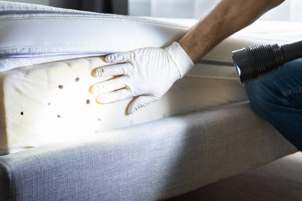 Best Bed Bug Extermination  in Las Animas, CO