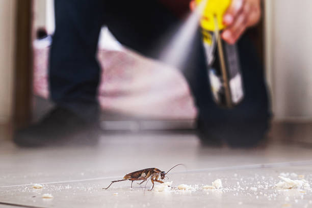 Professional Pest Control in Las Animas, CO