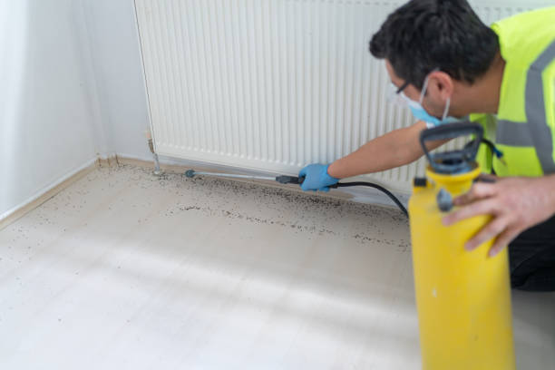 Best Cockroach Control Services  in Las Animas, CO